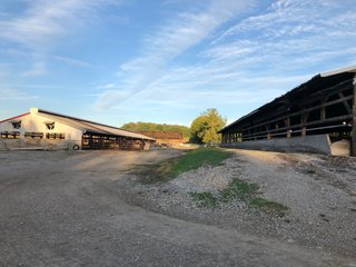 Property photo 59 - MAJOR LAND AUCTION - 1,085+/- ACRES IN 24 TRACTS IN HENRY & WAYNE COUNTIES, INDIANA